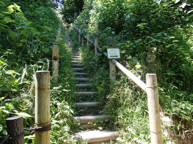 大仏切通への木段