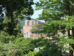 Schloss Heidelberg　8：00～17：30

ハイデルベルクカードには、お城の入場とケーブルカーの往復も含まれていますので、ケーブルカーに乗りましたが、結構混んでいたので乗車までに約15分待ち、時間がかかりました。
