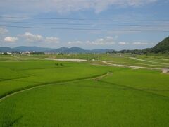 終点はトロッコ亀岡駅。のどかな風景。
そのまま折り返しの列車に乗って。帰りは普通車両の立ち席。窓は開いていたけどやっぱり蒸し蒸し。
でも普通車両は？保津川峡谷に出没するという鬼が遊びに来てくれたよ！