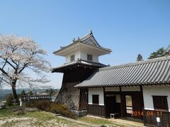 名古屋城のあと、高速をひた走り岩村城へ・・・。

途中の山中には桜が咲いていましたが、ここ岩村城にも咲いていました。

麓の藩主邸の太鼓櫓と長屋門（ともに復元）です。

