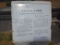 途中でパイナップルを買い(１個￥500）、デザートとして食べながらドライブです。