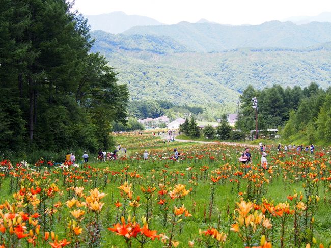 ハンターマウンテンゆりパーク 那須 栃木県 の旅行記 ブログ By みささん フォートラベル ハンターマウンテンゆりパーク 那須 栃木県 の旅行記 ブログ By みささん フォートラベル