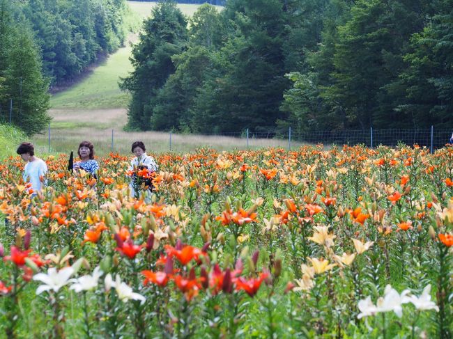 ハンターマウンテンゆりパーク 那須 栃木県 の旅行記 ブログ By みささん フォートラベル ハンターマウンテンゆりパーク 那須 栃木県 の旅行記 ブログ By みささん フォートラベル