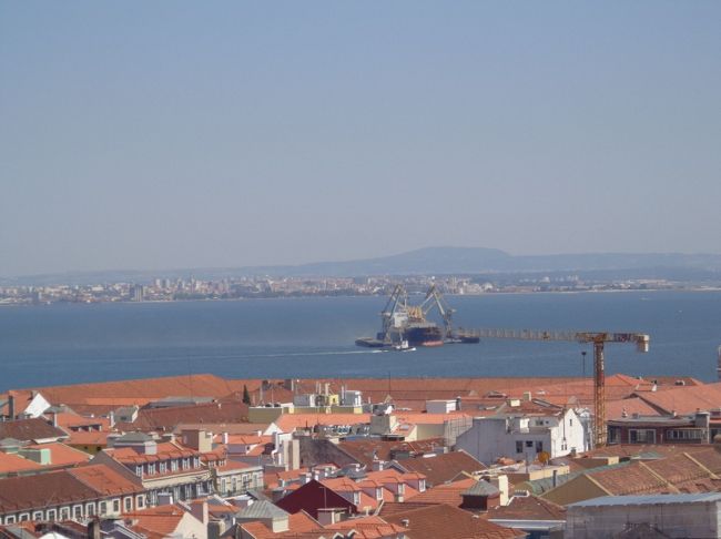 暑くなければ、何十分でも見ていたい