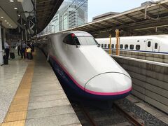 ビックサイトから東京駅に。
大雨で山形新幹線が運休していたが、東北新幹線は
大丈夫だった。