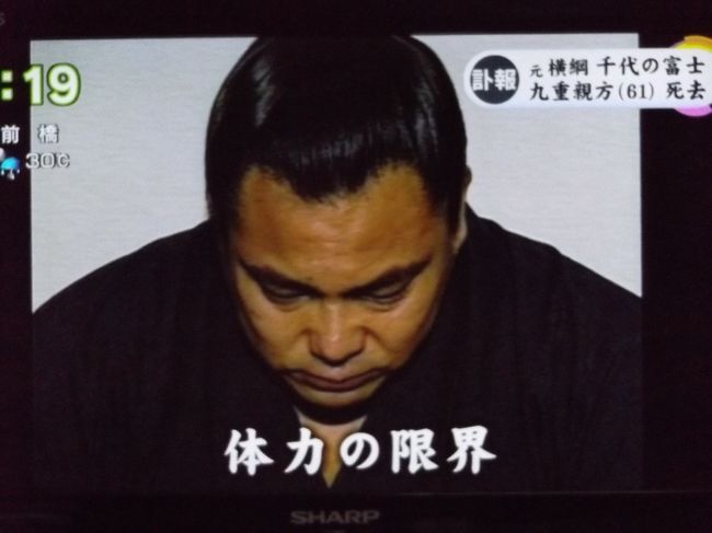 グーちゃん 養老渓谷へ行く 衝撃 元横綱千代の富士 逝く 編 市原 千葉県 の旅行記 ブログ By グーちゃんさん フォートラベル
