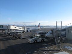 ＪＡＬ５０１便は札幌・新千歳空港に定刻通り到着しました。
「ただいまの千歳の天気は晴れ、気温は氷点下１５度でございます」←！！！
今までに体験したことがない気温に衝撃と不安が走ります。