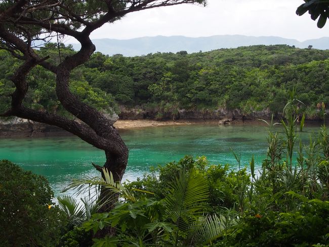 そうそう！この景色だ！<br />何とも言えない緑色の海<br />不思議だ！