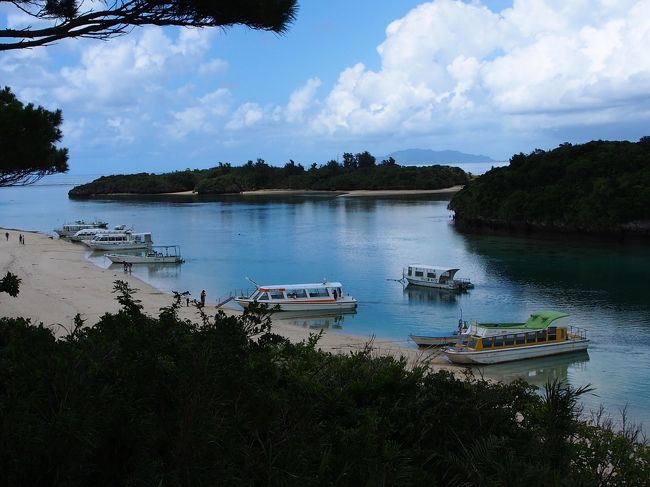 何隻もの観光船が泊まっている