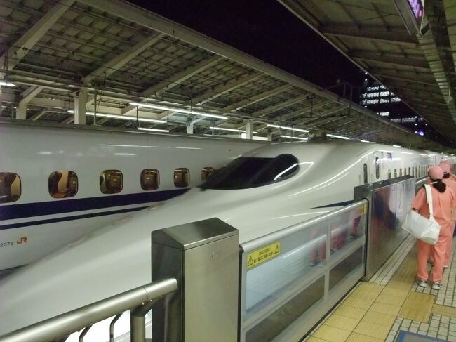 きらめく海へ 久しぶり夏の東京ディズニーシー 初のディズニー サマーフェスティバル 東京ディズニーリゾート 千葉県 の旅行記 ブログ By レッドウイングさん フォートラベル きらめく海へ 久しぶり夏の東京ディズニーシー 初のディズニー サマーフェスティバル 東京ディズニーリゾート 千葉県 の旅行記 ブログ By レッドウイングさん フォートラベル