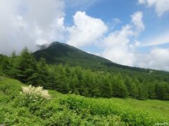 高峰高原　スキー場の近くまで下りてきました

高峰山山頂から粒ケ平を経由し、高峰温泉の方へまっすぐ下ると、
林道へ出ます。
林道脇のゲレンデに咲く花を見ながら車坂峠に戻ります。