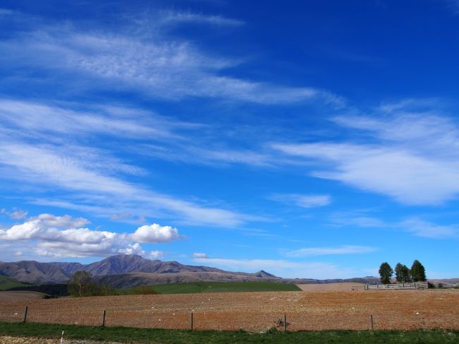 ニュージーランドに到着して、早速の絶景。<br />バスでの移動中、このような草原地帯の美しい風景を所々で目にすることが出来ました。