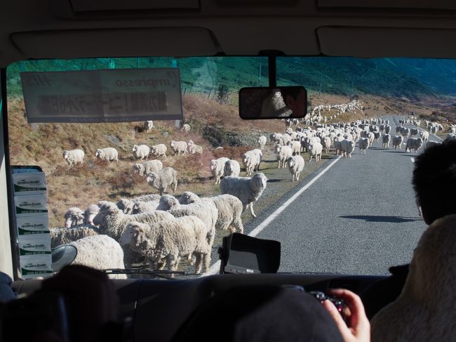 ドライバーさん大変そう。