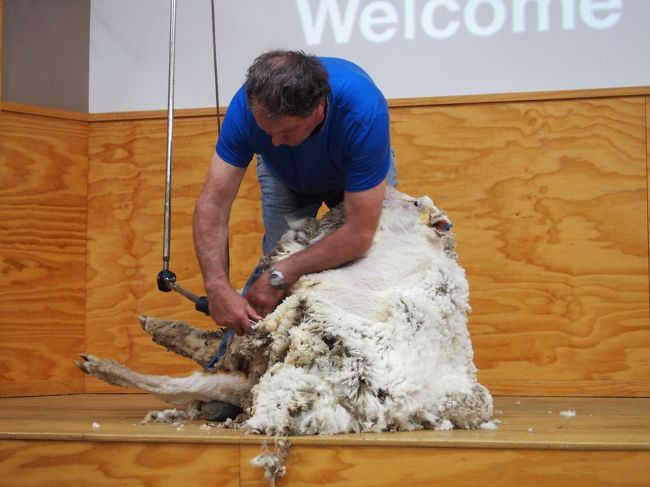 慣れた手つきです。