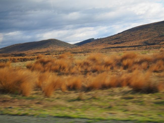 車窓から。NZは所々風景がガラッと変わって飽きません。