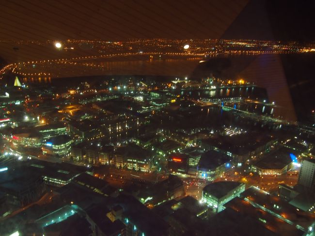 タワーからの風景。<br />エレベーターで展望台に行くのですが、クローズ間際に行ったため、混雑はしていませんでした。ただ、相乗りしたラテン系のカップルが熱烈なラブラブっぷりで、目のやり場に困り、私は空気に同化しようと努力。後で、男性の方に何故か謝られました（笑）。