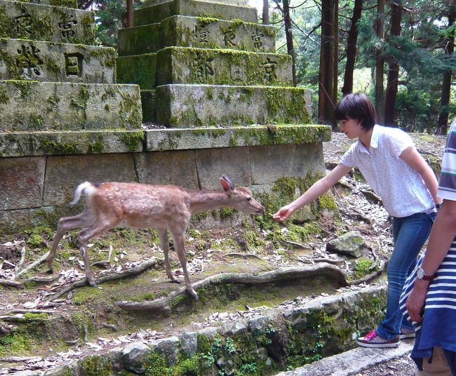春日大社へ向かう道すがら、小鹿と小鹿みたいなかわいい女の子。