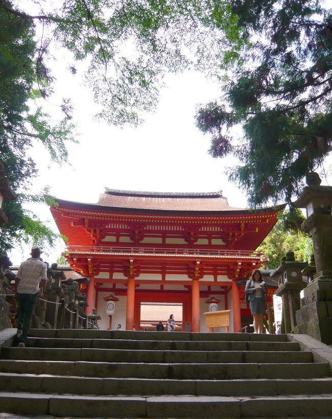 キラキラ光る緑と朱が本当に素敵。