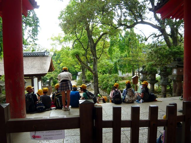 6年生くらいかな〜？女子のほうが強そう。