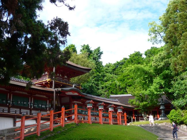 梅雨時期は、雨が降らない日に当たれば最高（賭けだけど）。木々も瑞々しいし、人も少な目だし、初夏の清々しさが良いですね。