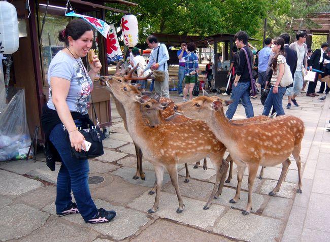 アグレッシブな子たちはちょっとこわい（笑）。