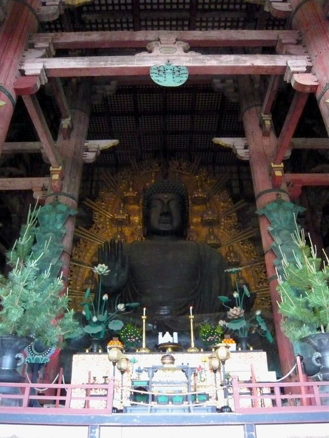 お久しぶりです！