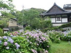 ●紫陽花＠長弓寺

薬師院の建物が見えてきました。