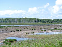 野付半島の入り口
こちらの湿地はナラの木