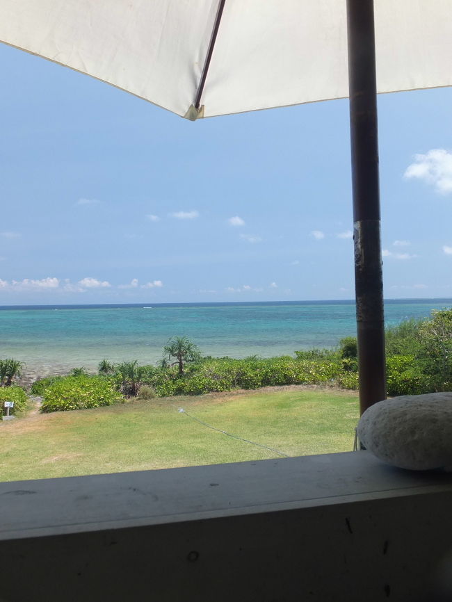 もちろん、お席は、テラス席。<br />この綺麗な景色を独占とは、<br />なんとも贅沢なカフェです。