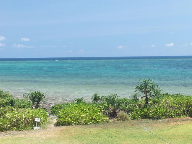 南国に来たぞー！！<br />って感じを、早速実感します。<br />しかし、最初っから、<br />こんな綺麗な海を見て、<br />この後、この綺麗さが、続くのだろうか。。。