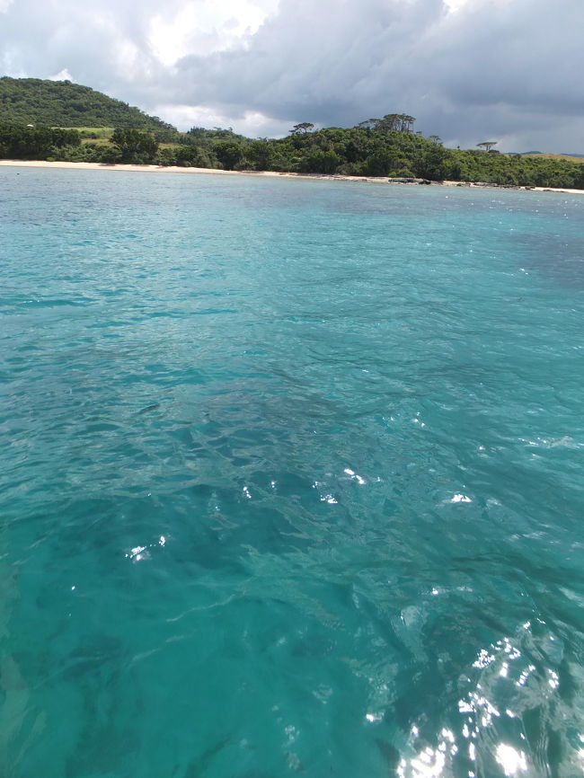 グリーンの海が、<br />キラキラと日差しを反射して、<br />まぶしい！！<br />