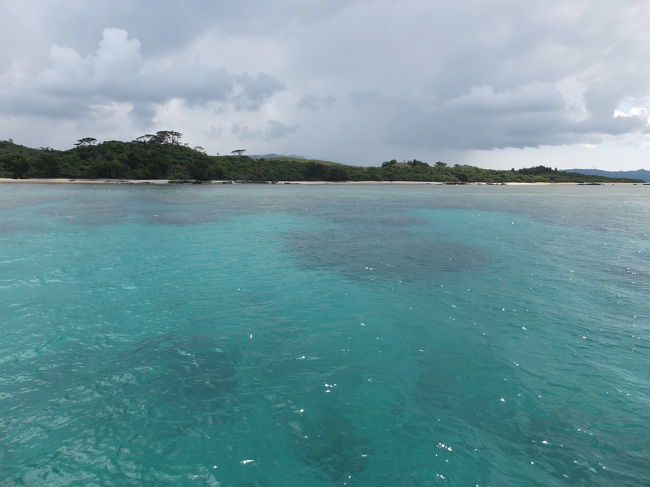 水中用のカメラを持っていないのが悔やまれるくらい、<br />キラキラと素敵な景色が広がっていました。