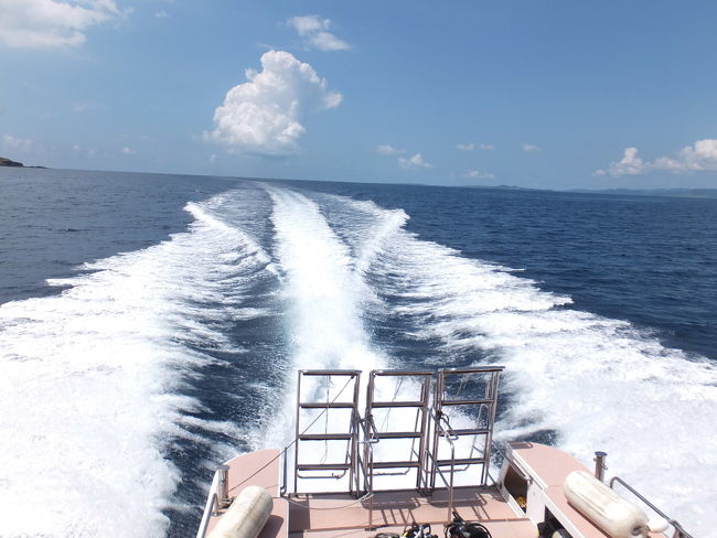 午後もがっつり海に潜って、<br />港に戻ります。<br />海風が気持ちいぃ！