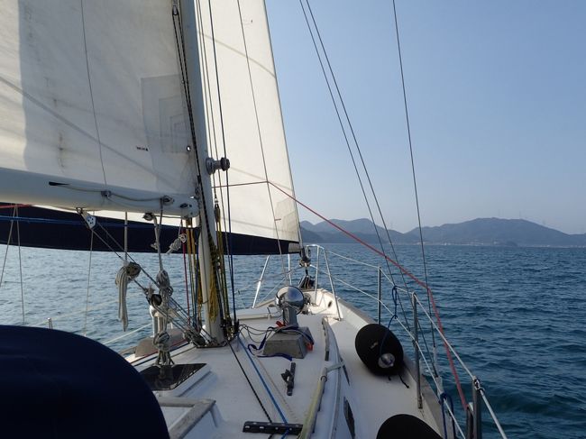 湾内を早速セーリング