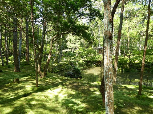 緑の絨毯が目に優しく、お寺独特の静寂な雰囲気と相まって清々しい気持ちになりました。<br />