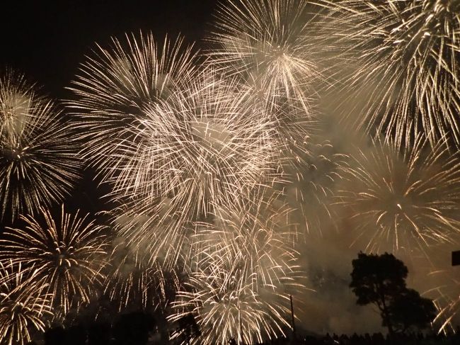 夜空を焦がす花火、やっぱり真夏の風物詩ですね。