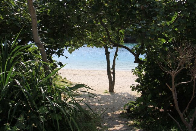 砂浜へ続く緑のトンネル