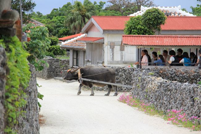 これは、当牛車の敵さんでしょうか・・・