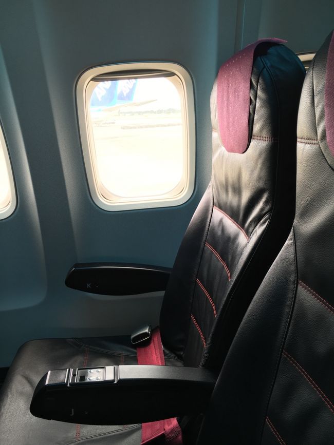 今回ももちろん、JAL！マイル貯めなきゃね！