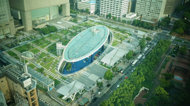 「タワーを見たら、登る！」がマイルール！