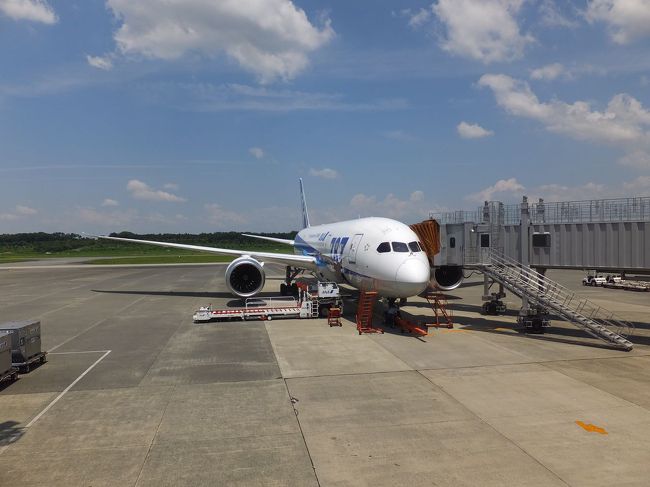 帰路もボーイング７８７。