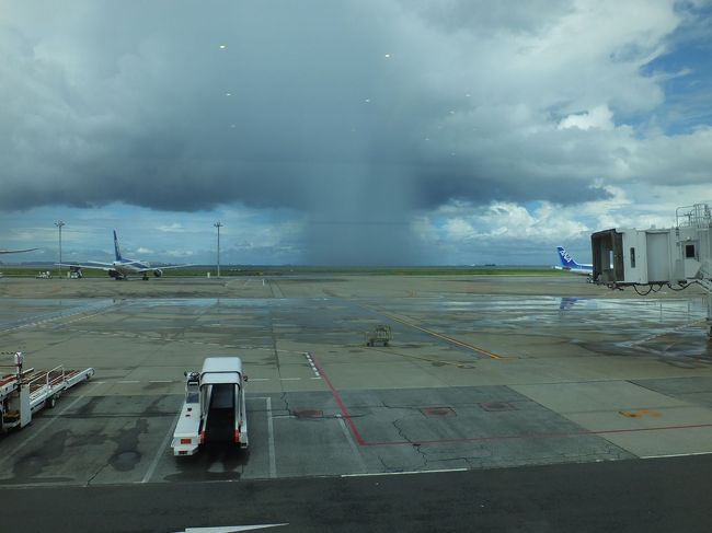 と、あ！<br />すごい雨柱！<br />スコールが来る！