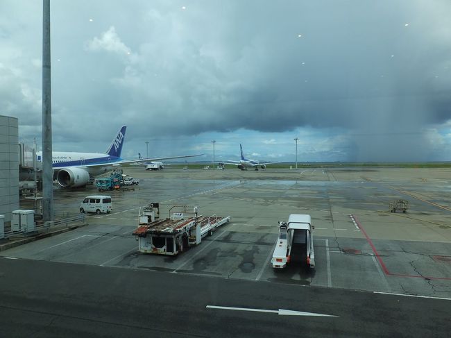 あ、増えた。しかもこっちに迫ってくる！<br />なお、左が乗ってきた飛行機。