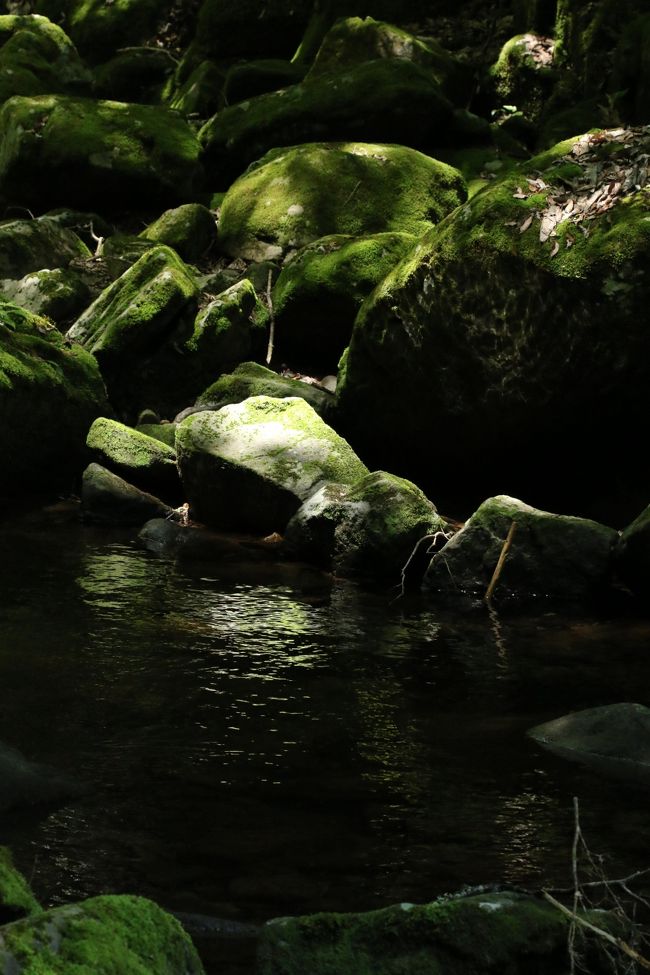 <br />色々な滝の名前があちこちに。<br /><br />ずっと木陰で水の音を聞きながら歩いているので<br /><br />気持ちが涼しいです。<br /><br />