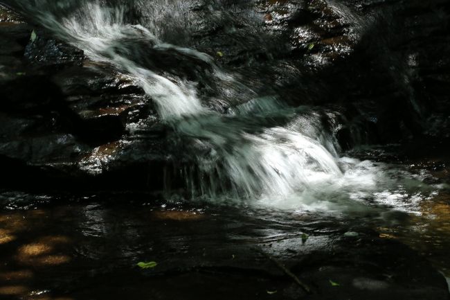 <br />ずっと見飽きません。