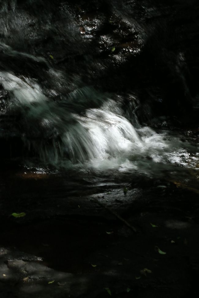 <br />足つけて入りたくなります。