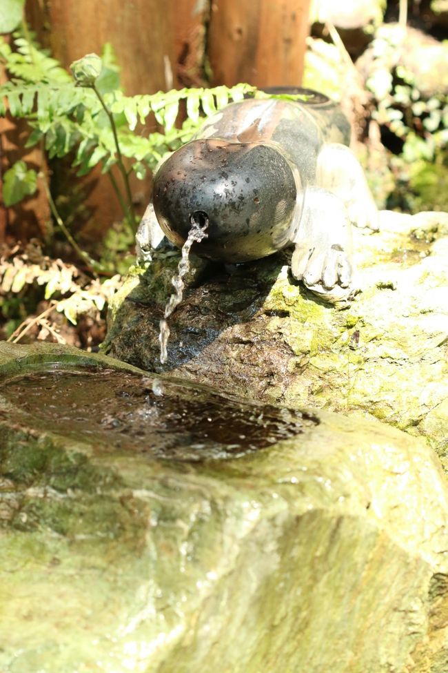 <br />じゃんじゃの水<br /><br />という湧き水。<br /><br /><br />口からチョロリチョロリ。<br /><br />かわいいのですが飲めません。<br /><br /><br />帰りは対泉閣で日帰り入浴してさっぱり。<br /><br /><br />そうそう、入り口のへこき饅頭もいただいてきました。
