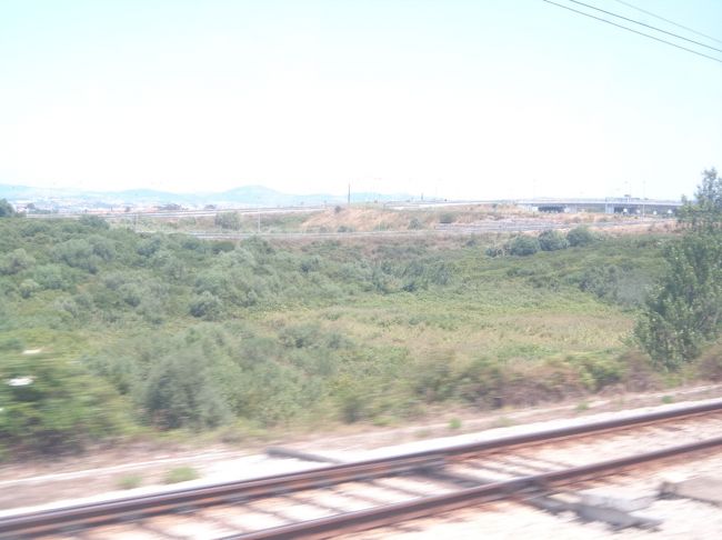 だんだんと緑が多くなってきた<br />