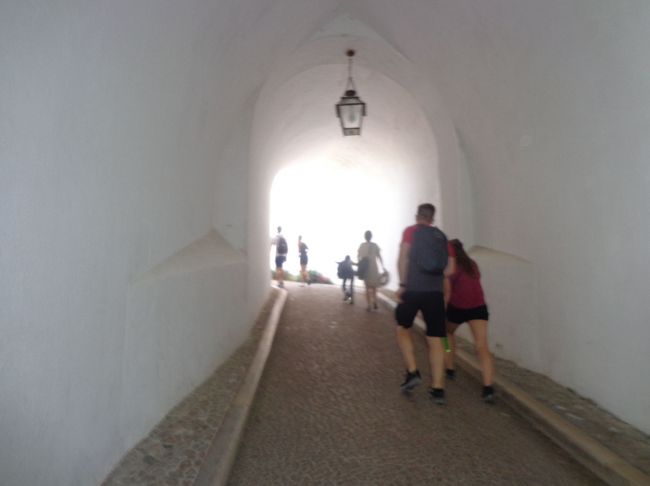 日陰は涼しい〜