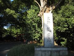 下鴨神社、糺の森へ